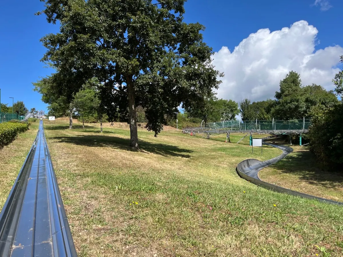Luge d'été