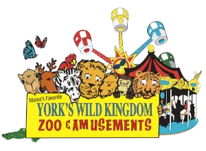 York's Wild Kingdom