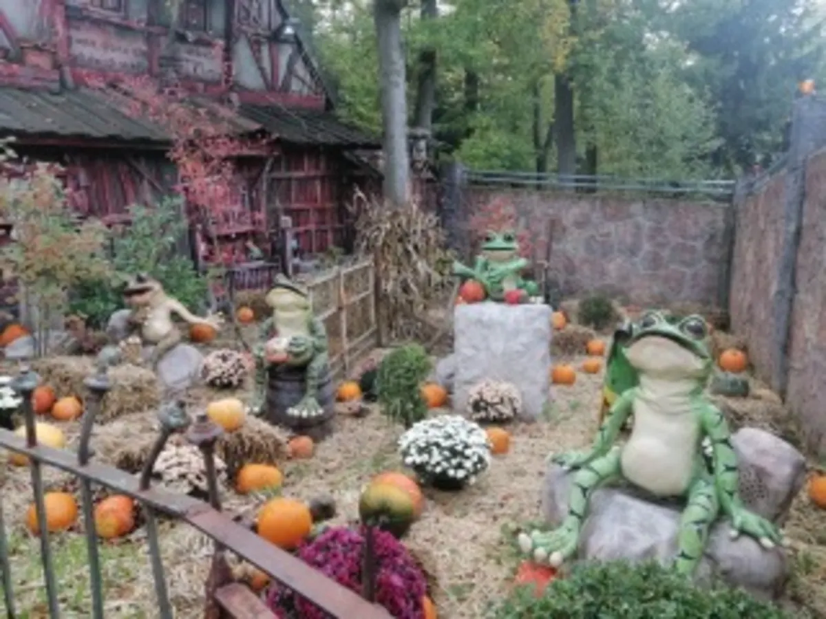 Froschkonzert