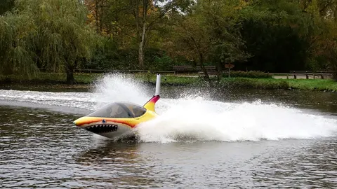 Shark Attack (nur für Lodge-Gäste)