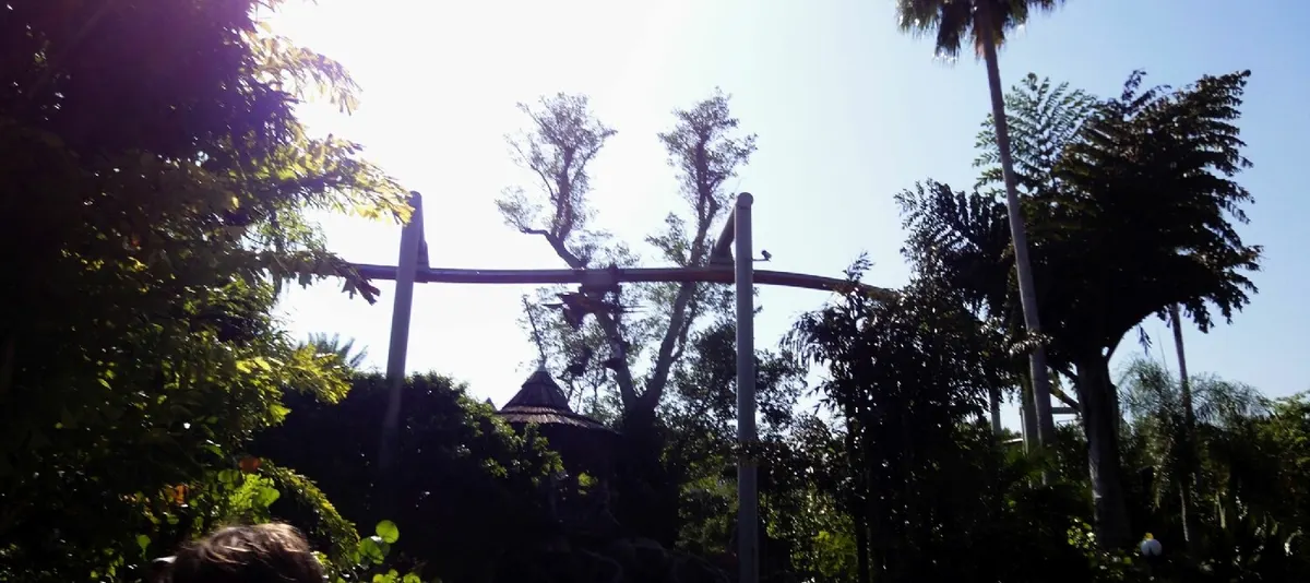 Pteranodon Flyers™