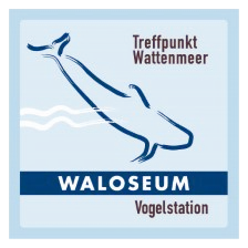 Waloseum