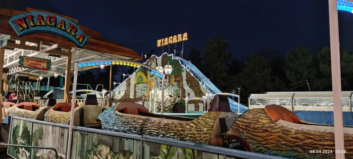 Niagara (Fleur, F)