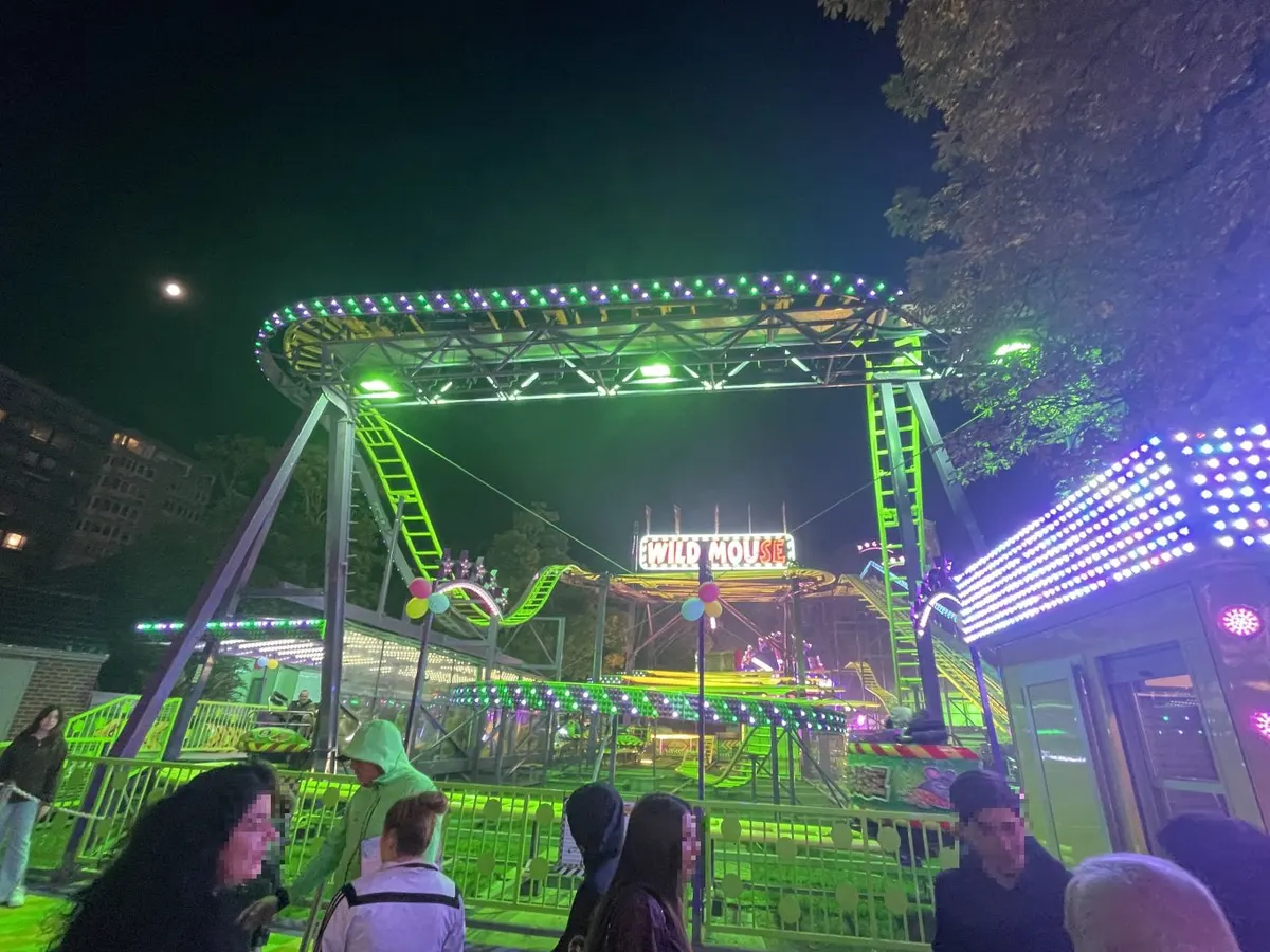 Wild Mouse (Bufkens, B)