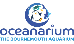 Oceanarium