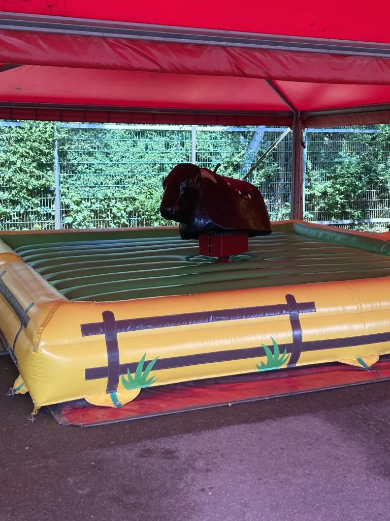 Bullriding