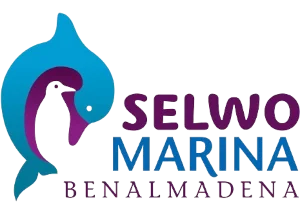 Selwo Marina