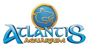 Atlantis Aquarium Madrid
