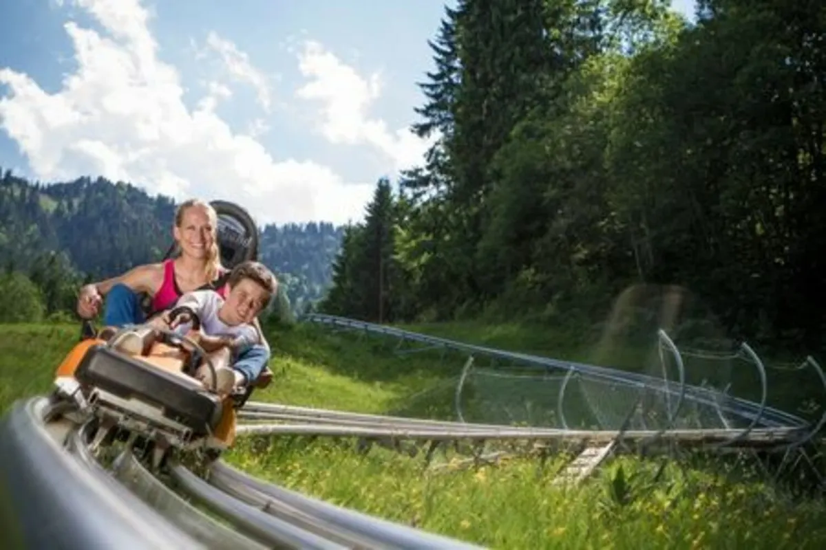 Alpine-Coaster