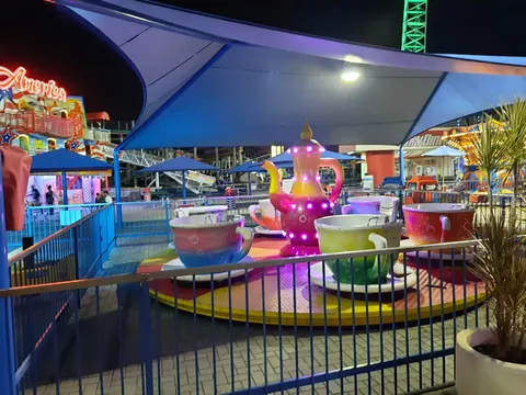 Tea Cups