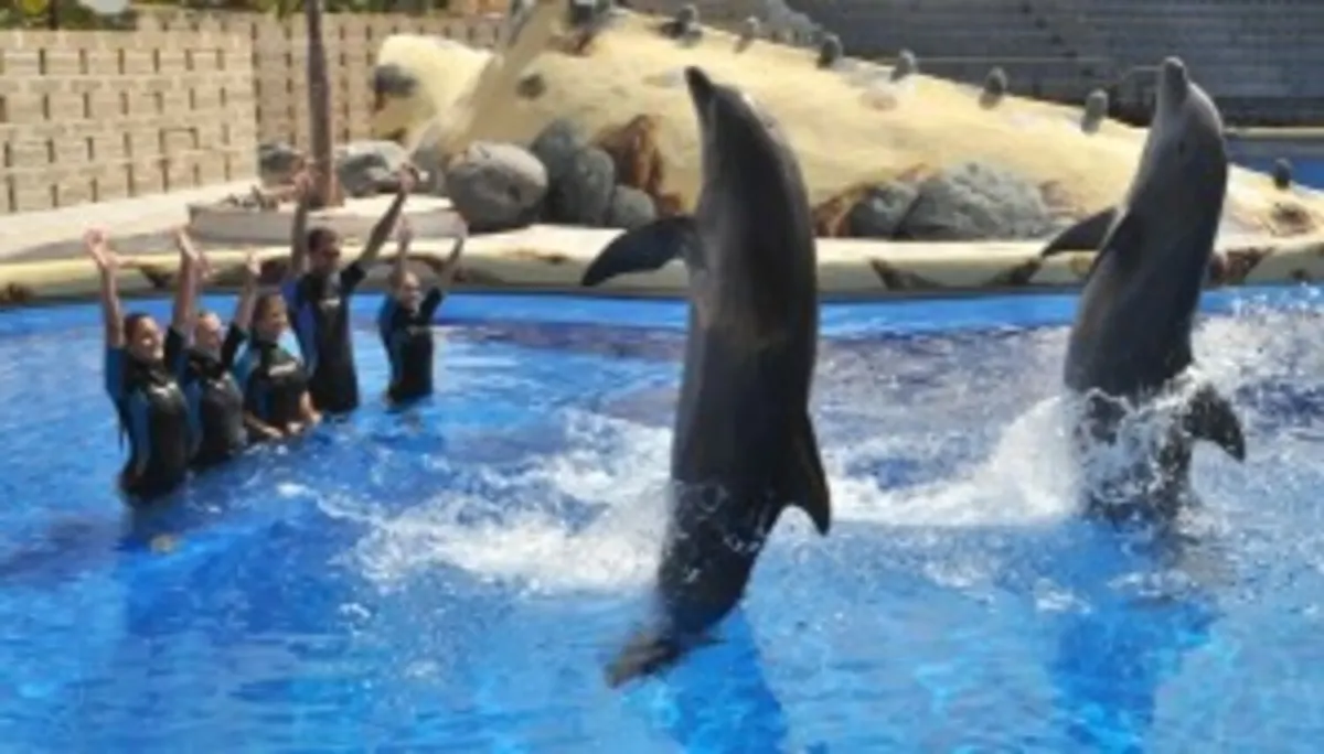 Dolphin Museum