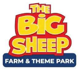 The BIG Sheep