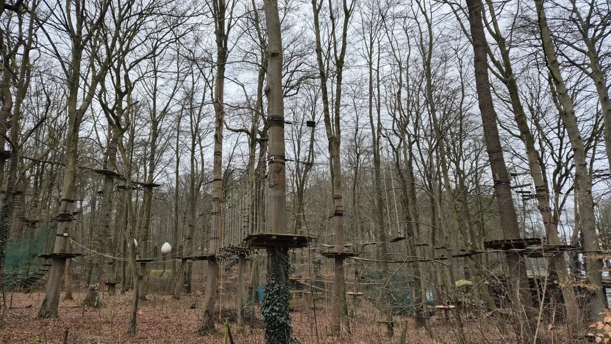 Kletterwald