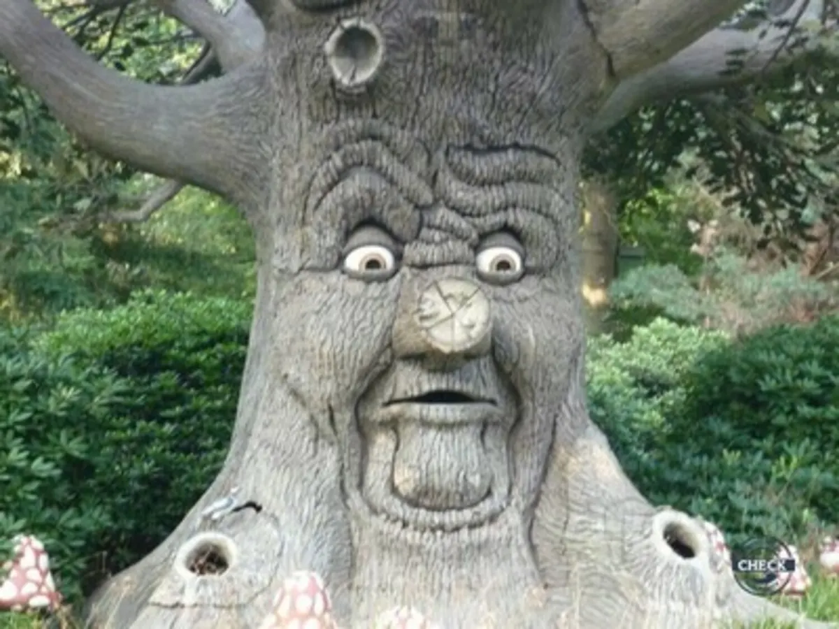 Sprookjesboom