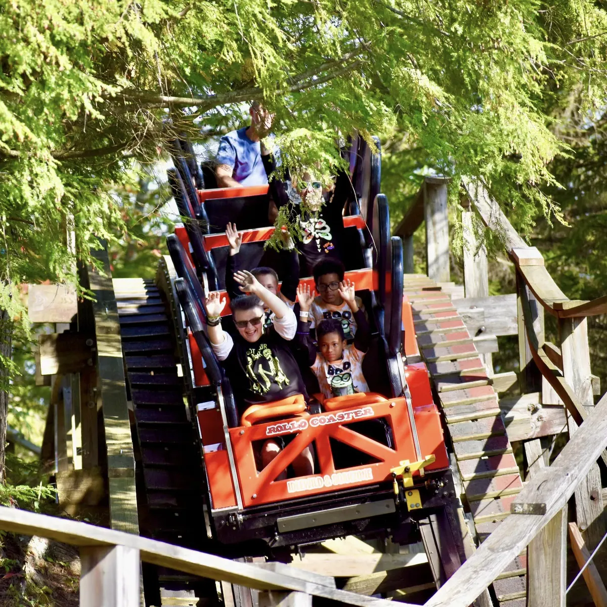 Rollo Coaster