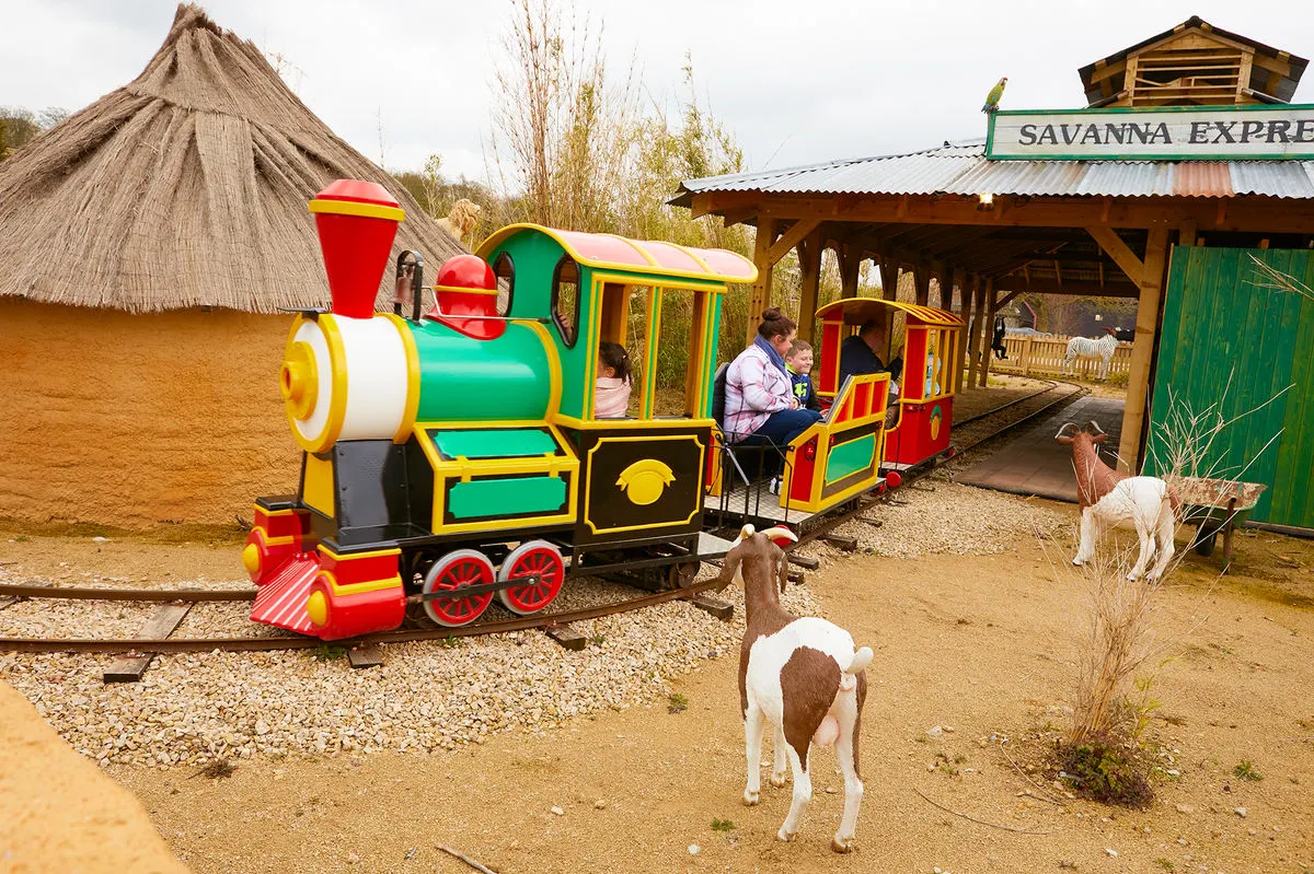 Savanna Express