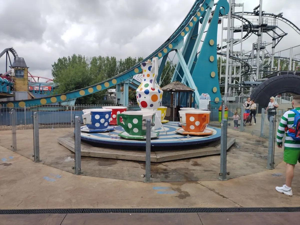 Tea-cups (1991 - 2023)