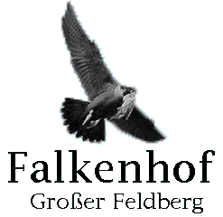 Falkenhof Großer Feldberg
