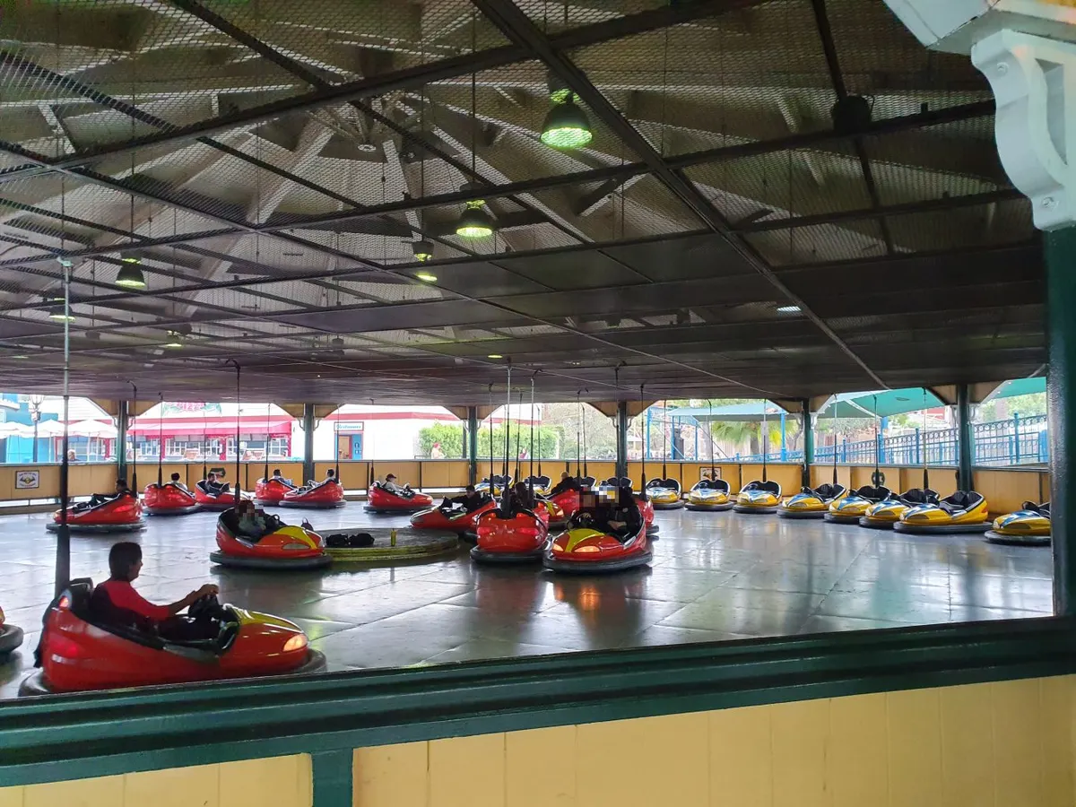 Wheeler Dealer Bumper Cars