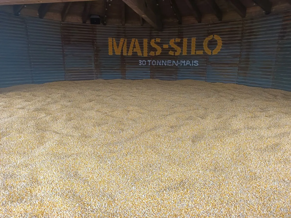 Mais-Silo