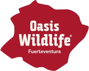 Oasis Wildlife Fuerteventura