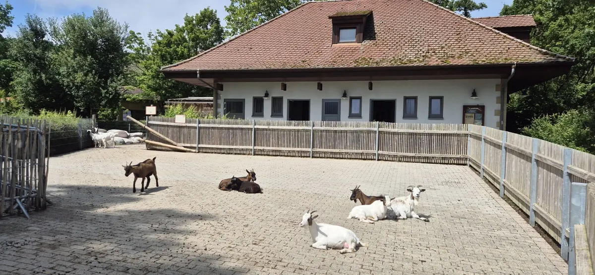 Streichelzoo Erlebnispark
