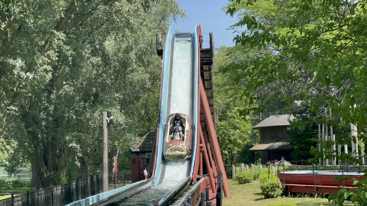Log Flume