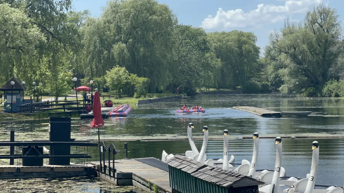 Bumper Boats