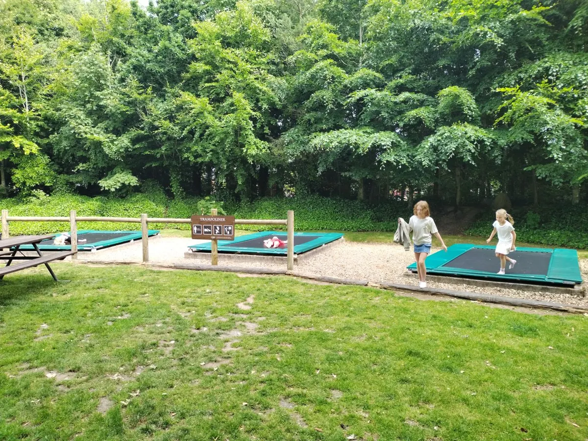 Trampoliner