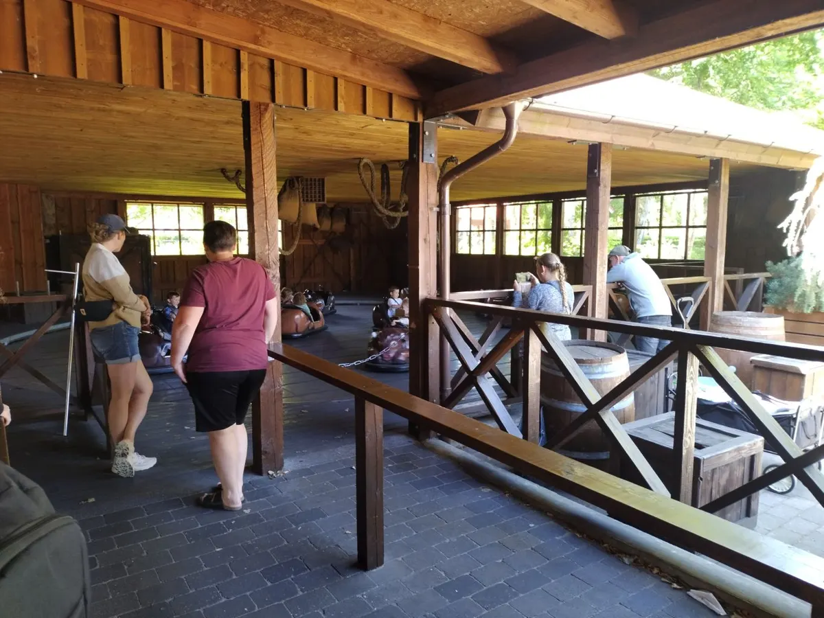 Mini Buffalo Bumper Cars