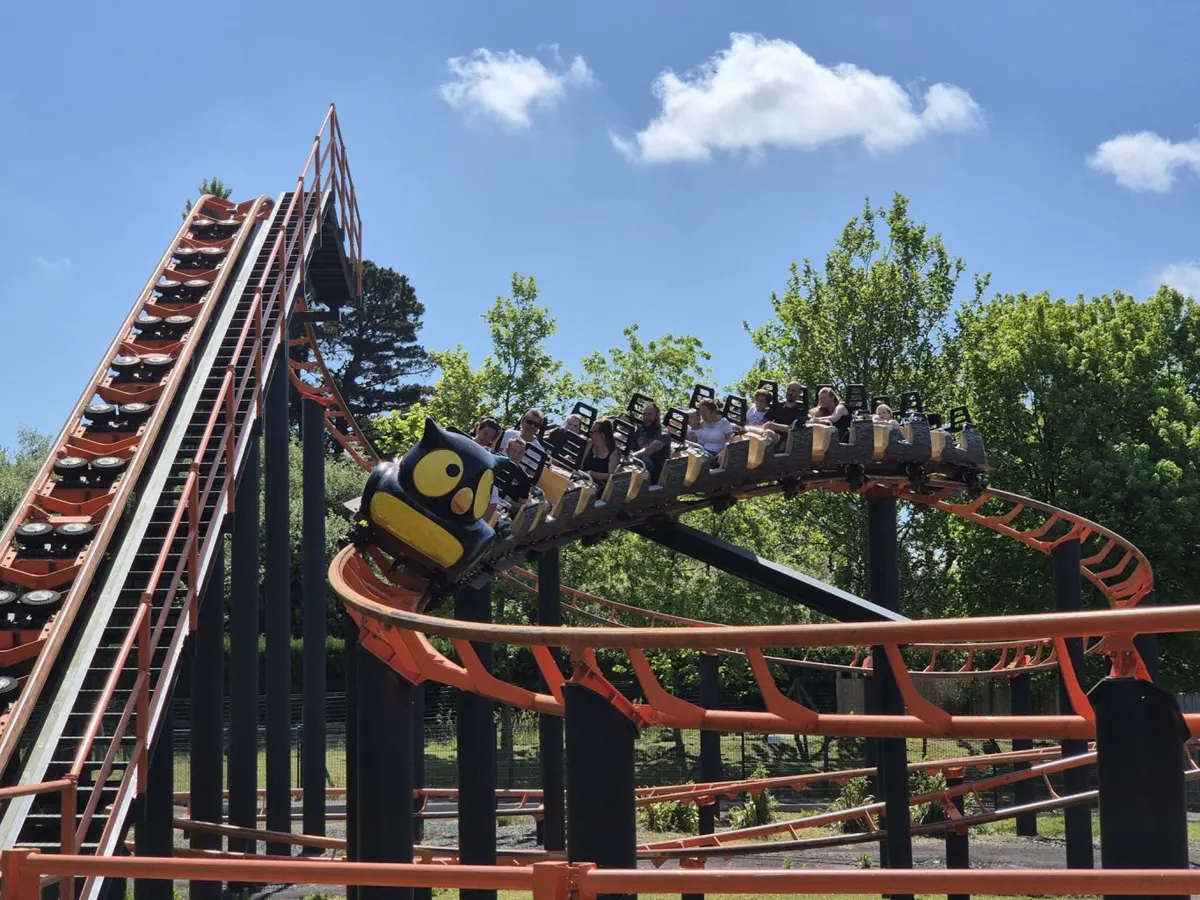 Roller Coaster