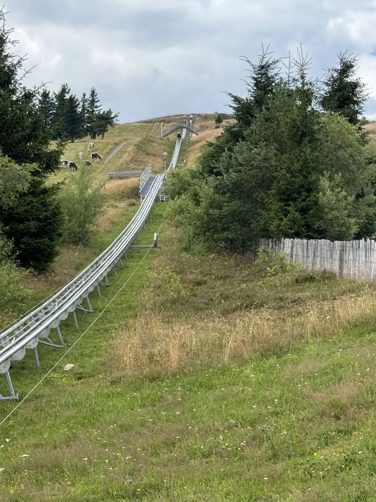 Luge sur rail
