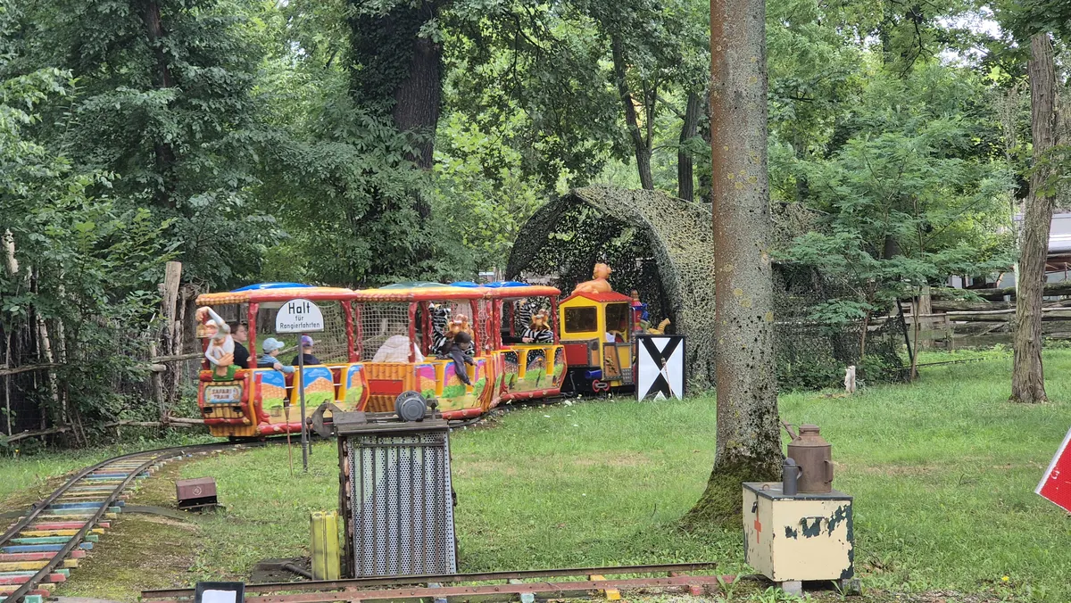 Safari Train