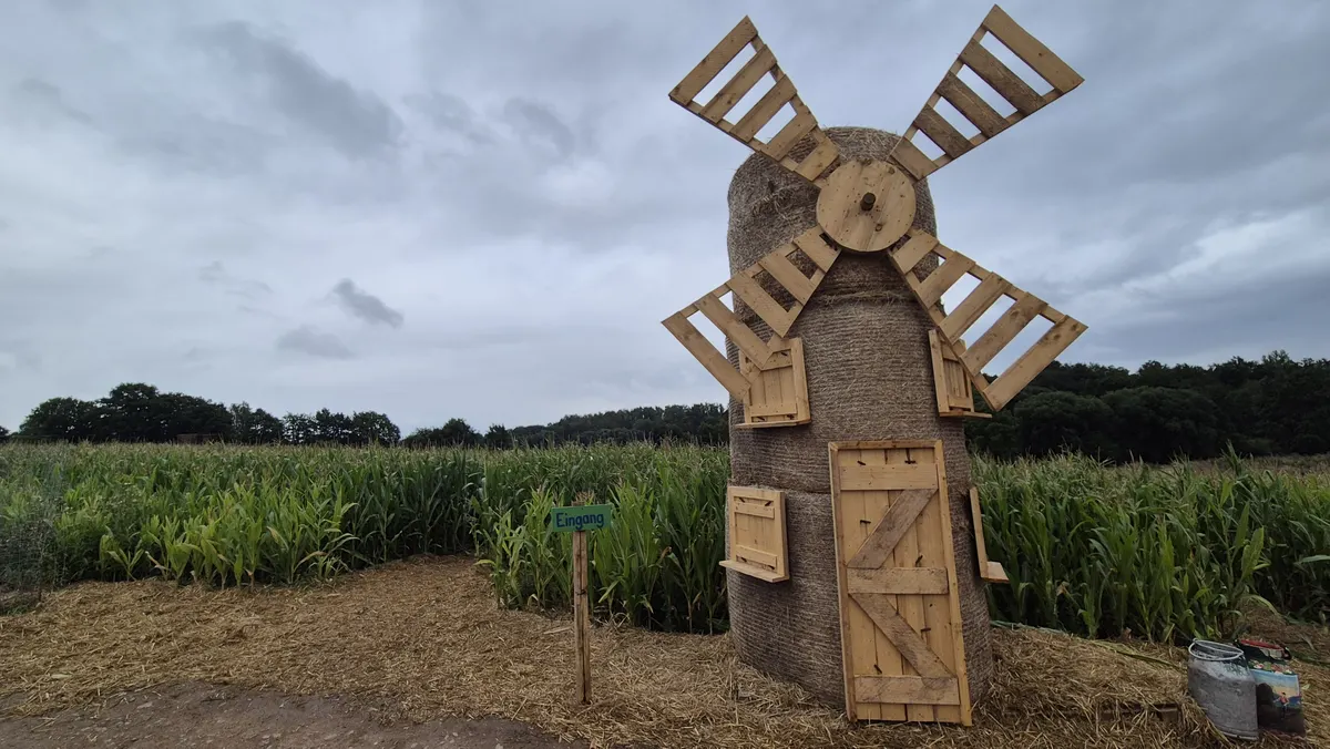 Maislabyrinth