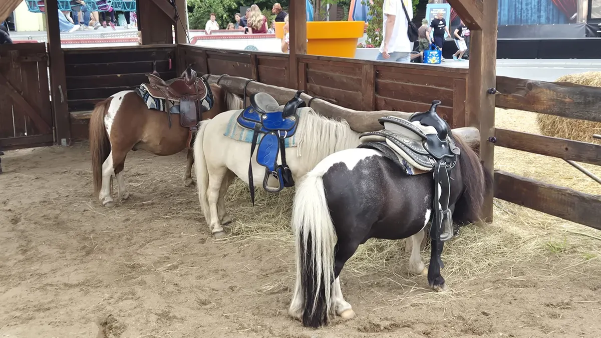 Ponyreiten