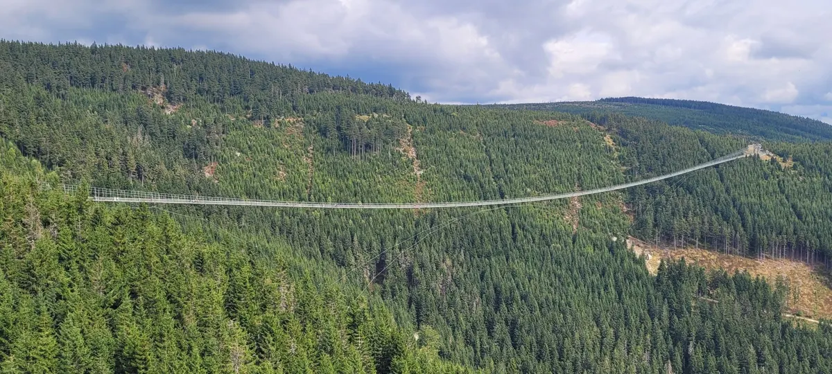 SKY BRIDGE 721