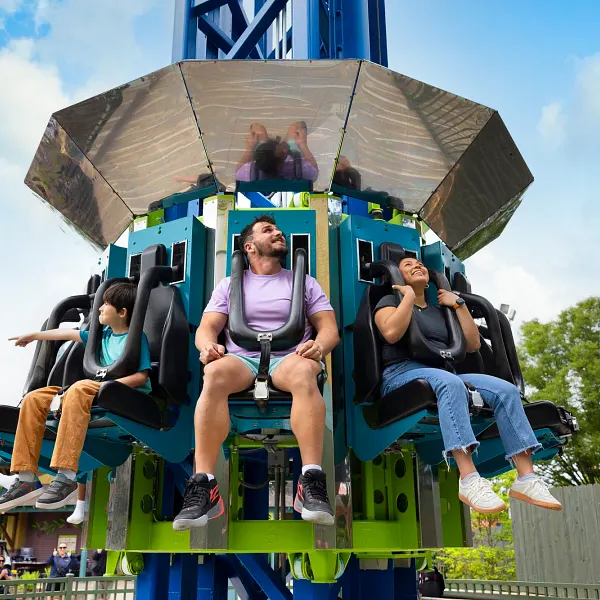 Treetop Drop