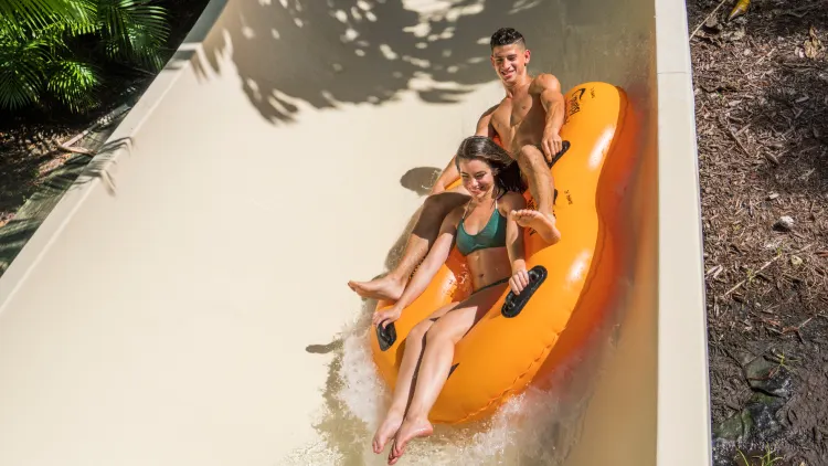Calypso Coaster
