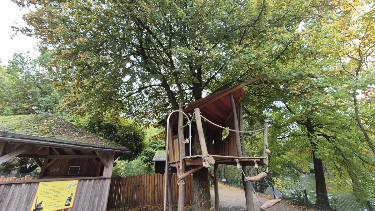 Spielplatz "Klettern wie die Kattas"