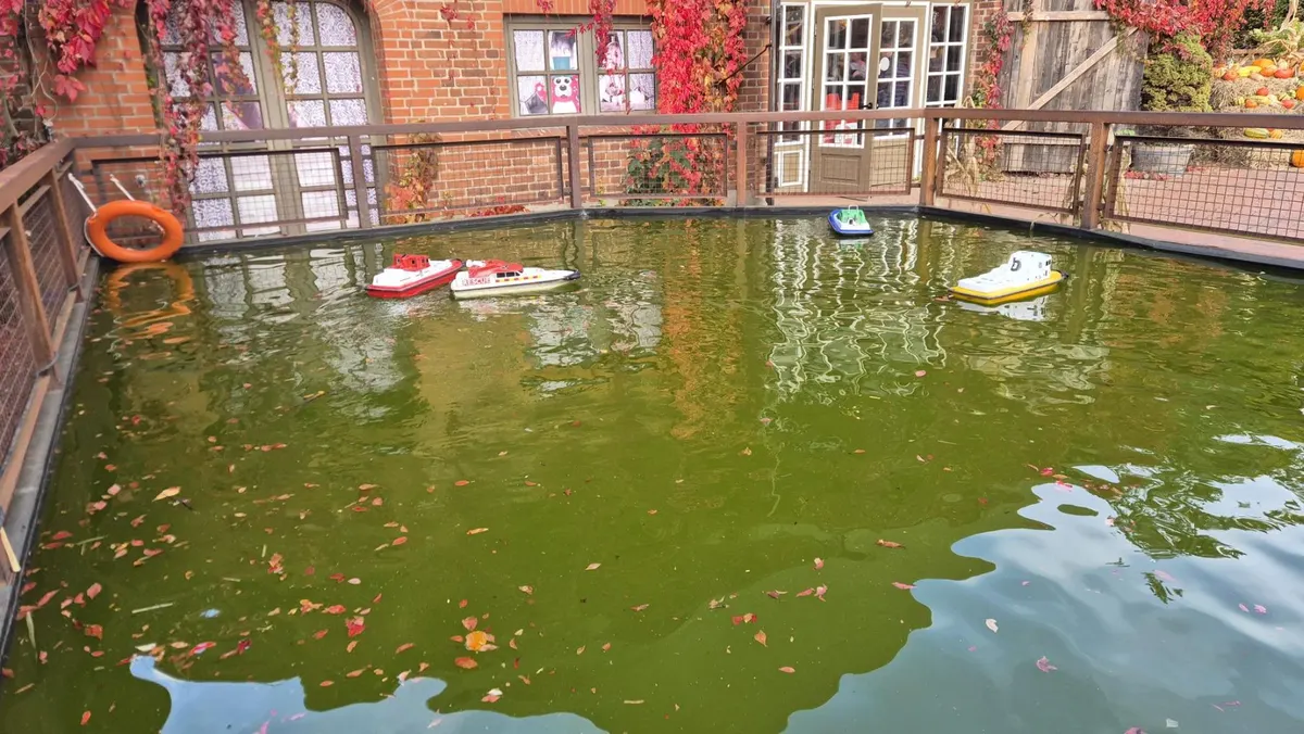Ferngesteuerte Boote