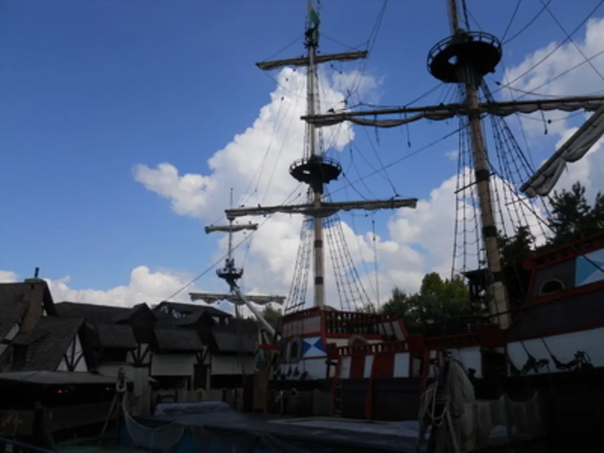 Animal Treasure Island