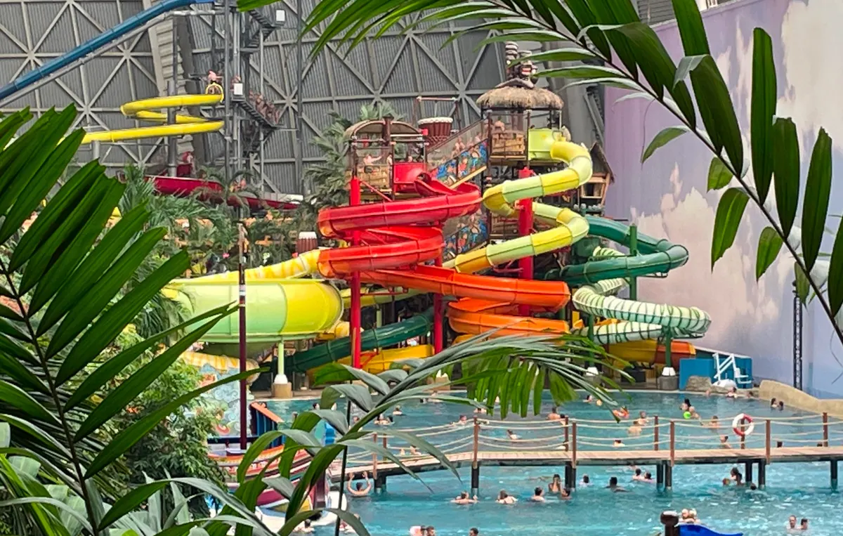 Jungle Splash