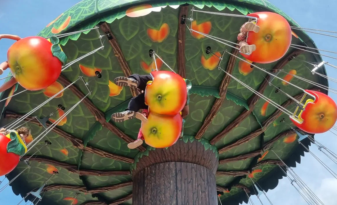 LE POMMIER, CHAISES VOLANTES