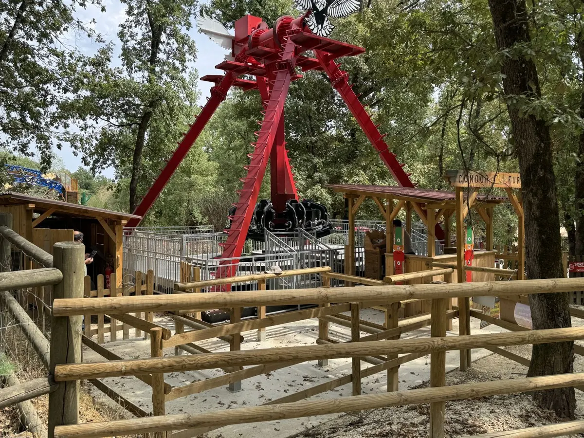 Condor Fury
