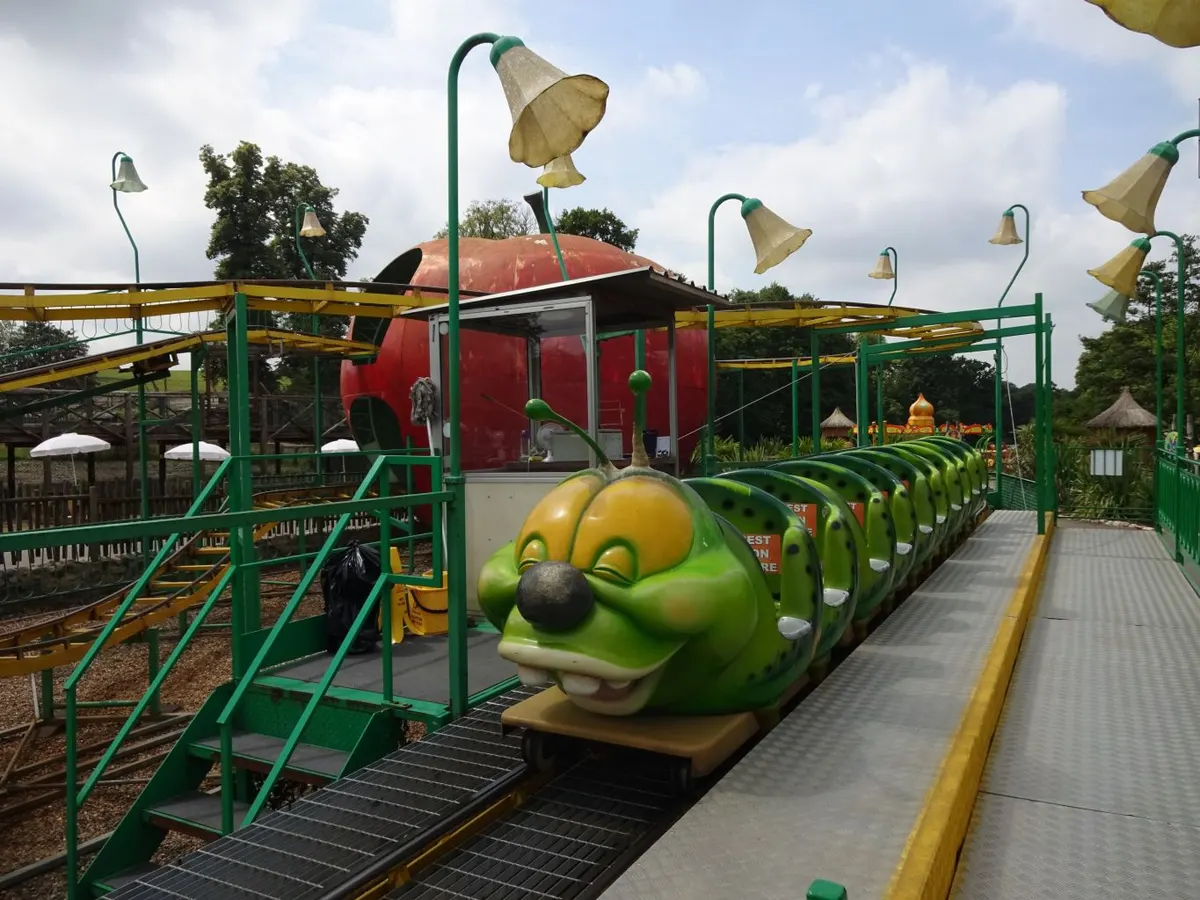African Big Apple Coaster
