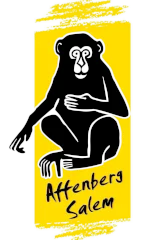 Affenberg Salem