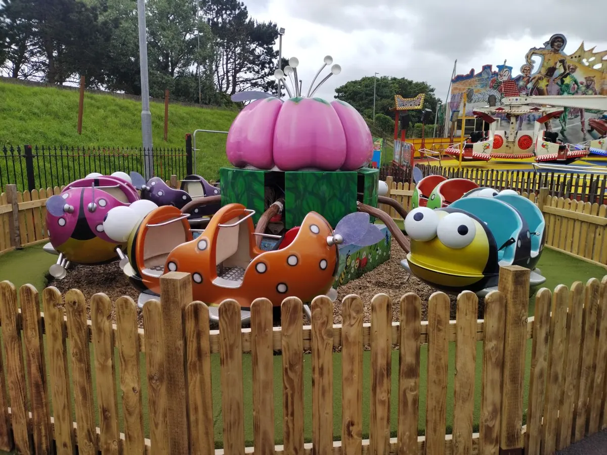 Bouncing Bugs