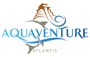 Atlantis Sanya - Aquaventure