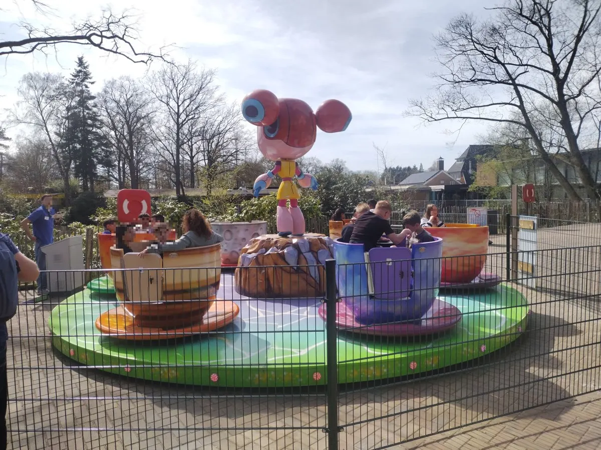 Tea Cups -NEW 2026-