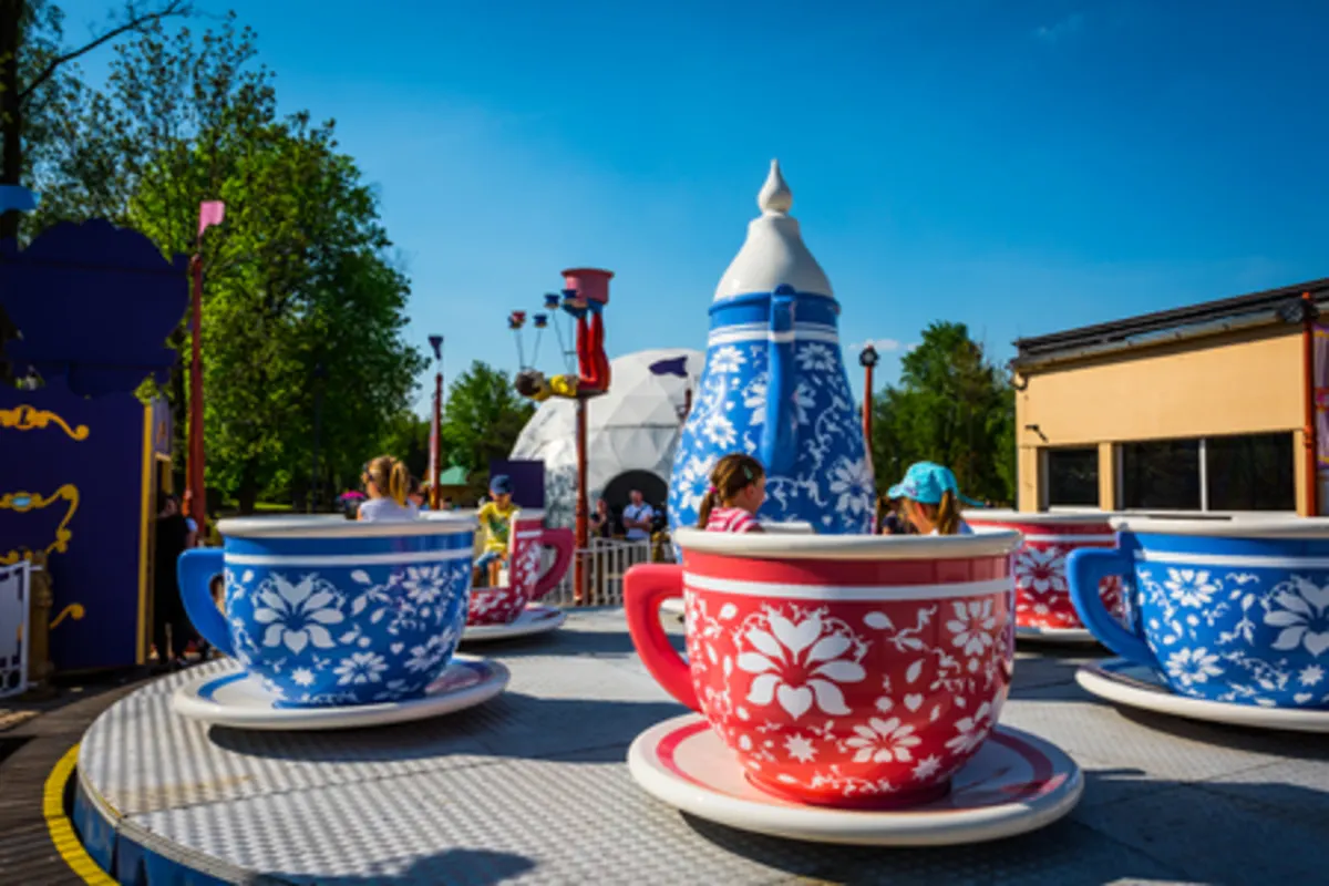 Circus Tea Cups